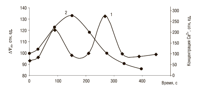 концентрации Ca2+ и редокс-потенциал митохондрий